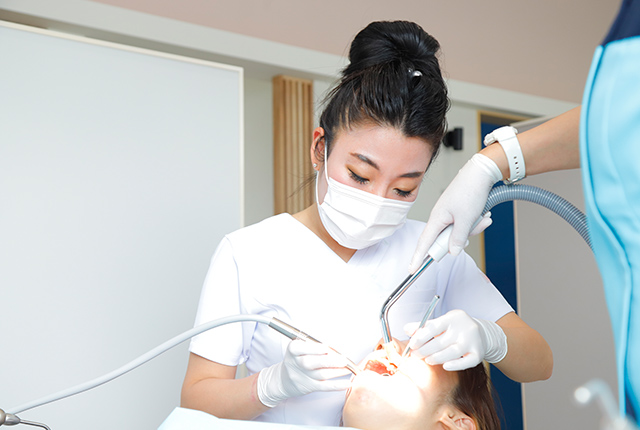 本格的な全体の治療