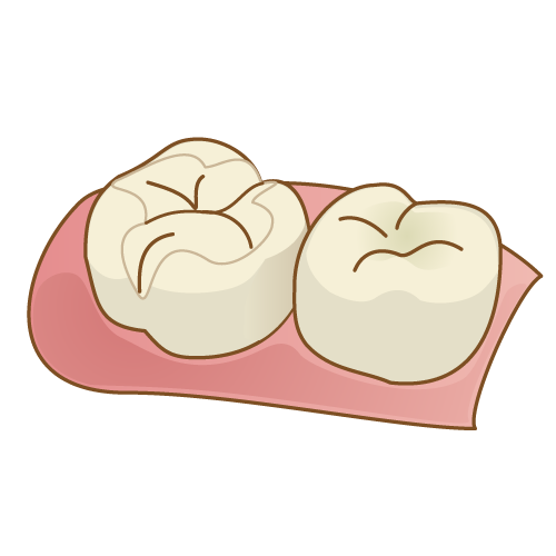 歯の質を強くする